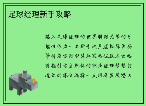 足球经理新手攻略